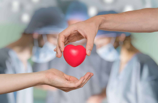 Torino – In Piemonte donazioni e trapianti di organi record nell’ultimo anno: “Risultato eccezionale”