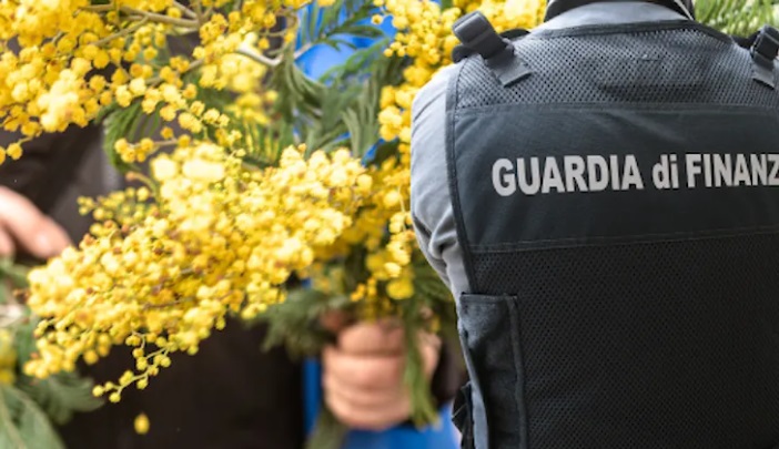 Torino – Vende mimose abusivamente l’8 marzo: 5mila euro di multa dalla Finanza