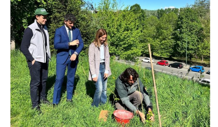 Torino – 750 nuove piante per rigenerare la zona Parella: interventi in 5 aree verdi
