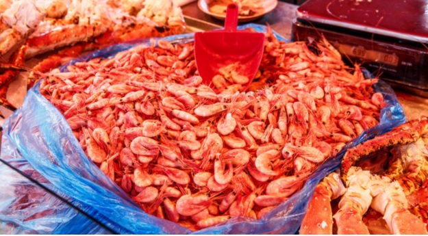 Piemonte – Furto da record di 15 mila kg di crostacei e pesce – Sessantenne in carcere