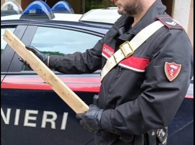 Paura nel Torinese –  Aggredisce e minaccia una donna con asse di legno irta di chiodi e terrorizza i passanti
