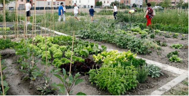 A Torino la “Rivoluzione verde”: boom degli Orti urbani, centinaia di persone in lista d’attesa in tutta la città