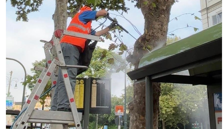 Torino – Finalmente potenziata la pulizia delle pensiline GTT: gli interventi annuali raddoppieranno. Cosa cambia