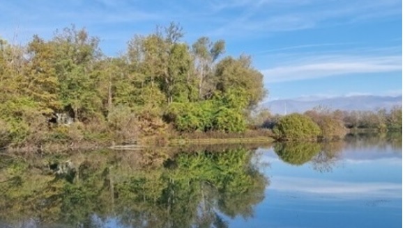 Torino – Rinasce l’area del lago Villaretto dopo 4 anni: torna un’importante oasi naturale. “Un tesoro nascosto”