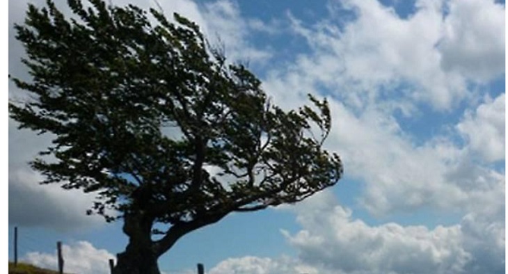 Torino – Forte vento nelle prossime ore: picchi di 100 Km/h. Le previsioni