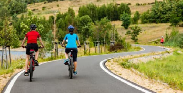 Torino – La maxi pista ciclabile tra Torino e Cuneo salverà api e farfalle: completati i primi 25mila metri quadrati di corridoio ecologico. Il progetto