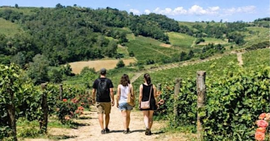 In Piemonte la “Passeggiata dei passiti”: l’evento fra vigneti e degustazioni, alla scoperta delle eccellenze del territorio INFO