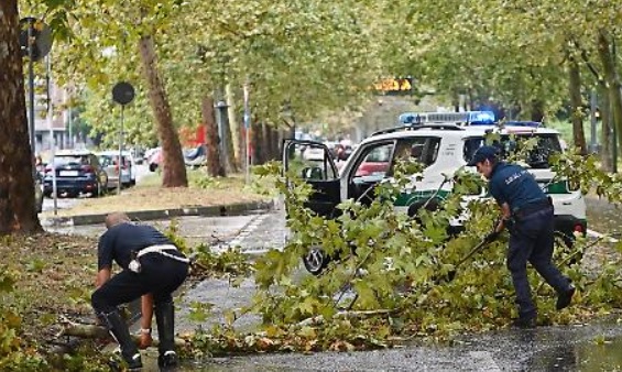 Torino – Bufera di vento in città: alberi caduti, dramma sfiorato in una scuola. Chiusa un’area del Salone del Libro