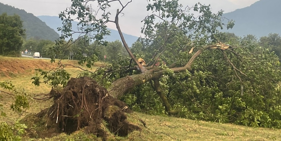 Inferno nelle Langhe, dopo i nubifragi e la grandine sui vigneti, proprio alla vigilia della vendemmia – La situazione